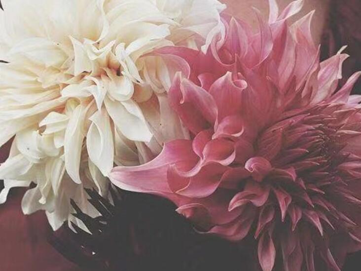 半夜失眠的心情句子文案