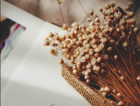 五六个字文艺短句