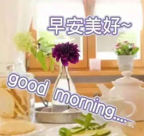 早上问候经典图片