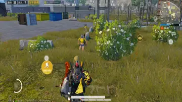 关于和平精英的名言