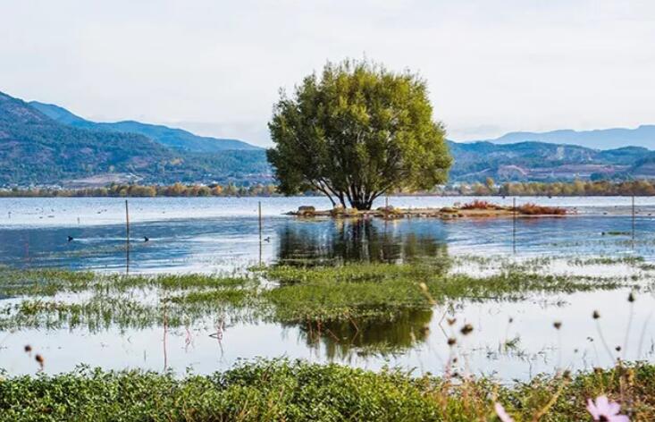 描写优雅生活的诗句文案