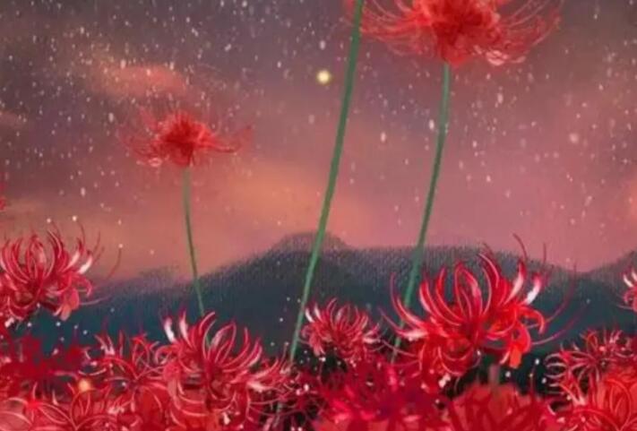 古风小说中的虐心句子文案