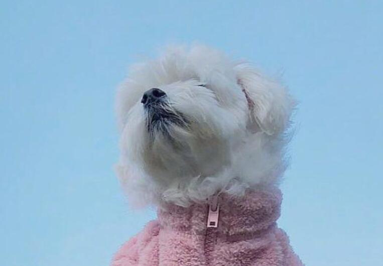 每天正能量的句子文案