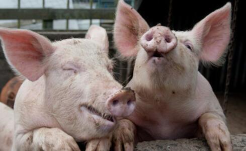 朋友圈晒体重怎么说