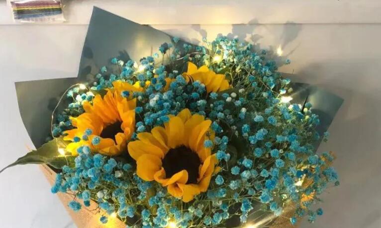 向日葵花语发朋友圈