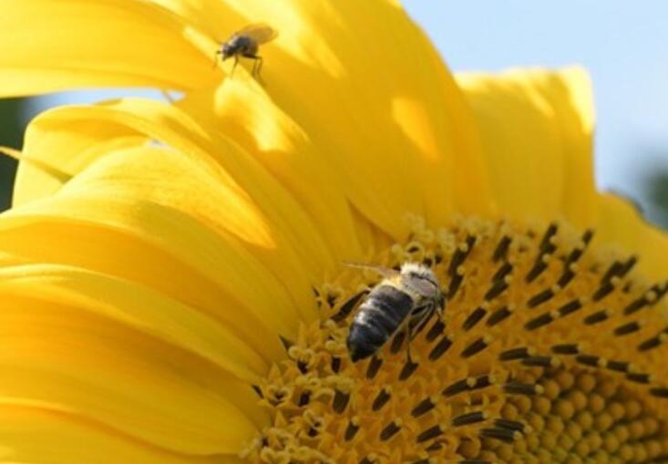 早上签到励志句子文案