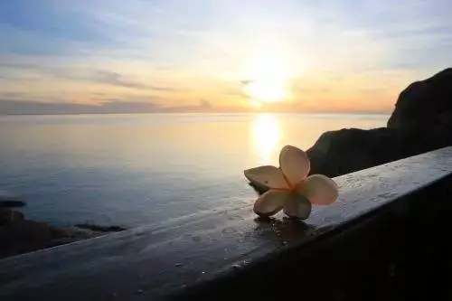 骂自己一事无成的诗句文案