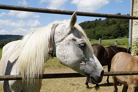 问候语及关心话简单
