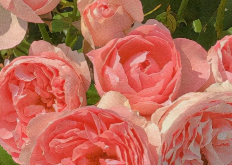 静谧时光唯美意境句子文案