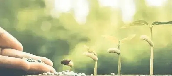 关于责任的美文摘抄