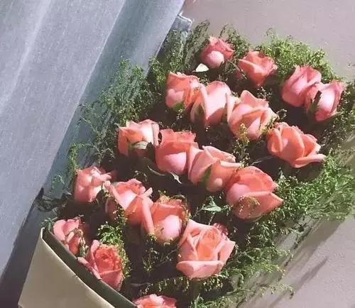 适合27岁生日发朋友圈的句子文案