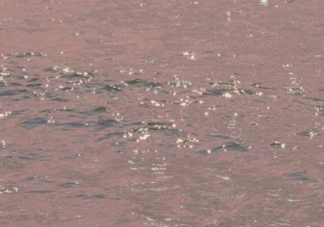 抖音2024年最新文案