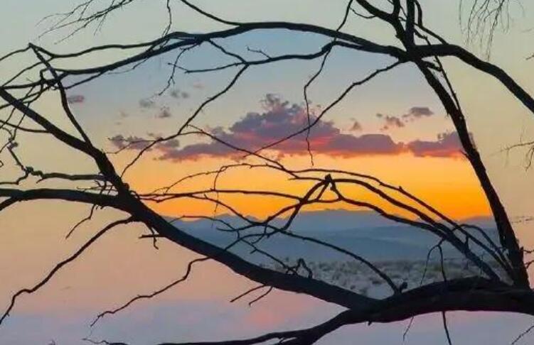 低调而不失奢华句子文案