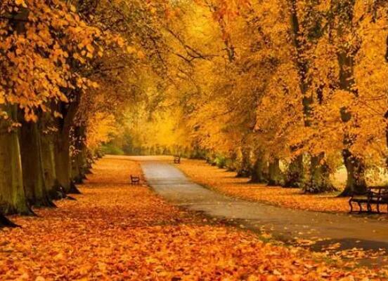 描写风景的优美句子文案