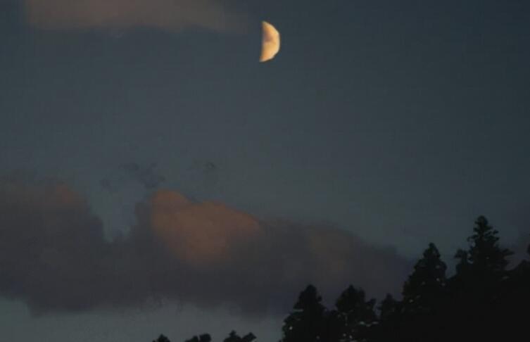 关于生活苦涩的句子文案