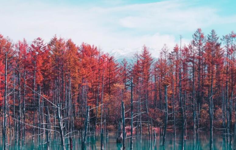 夸小孩笑得灿烂的朋友圈