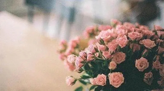 朋友圈伤感扎心语录文案