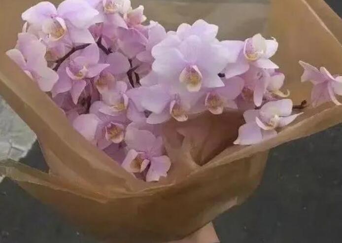 神仙句子文案温柔励志