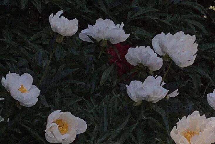 分手后比较伤感的句子文案