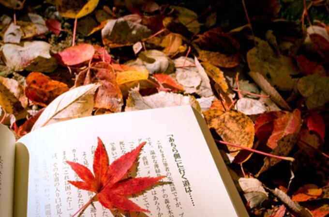 念旧的人的优美句子文案