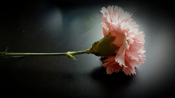 两个人永远幸福的句子文案