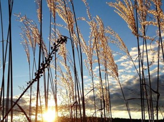 安慰失恋句子文案