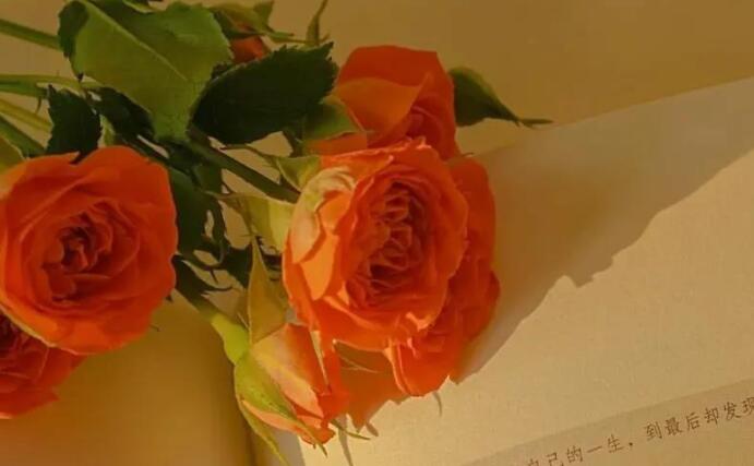 简单大气一句话说说文案