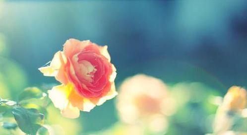 一切会越来越好的说说文案