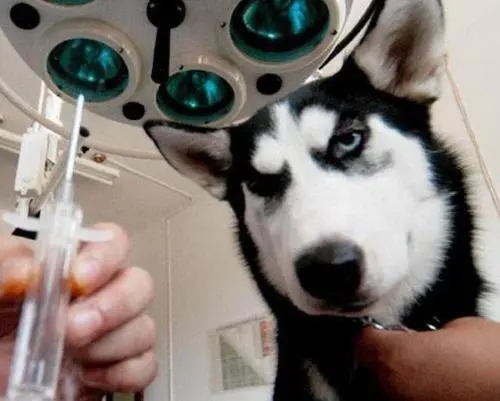 女生打针心情说说文案