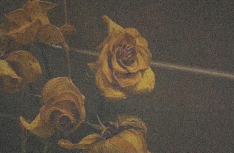 女人对男人失望的说说文案