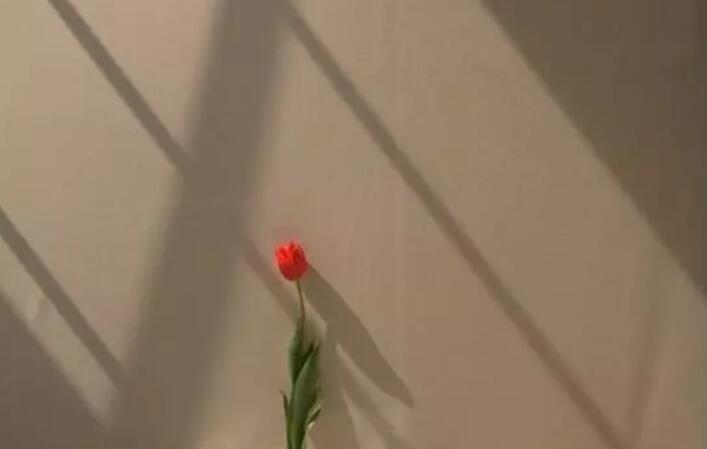 适合发朋友圈英文说说文案