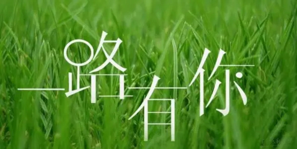 一路有你经典短句