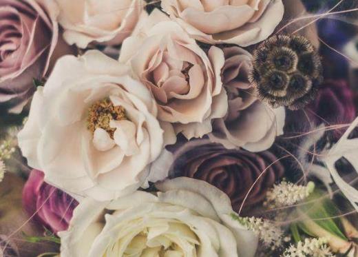 最火的励志情感语录文案