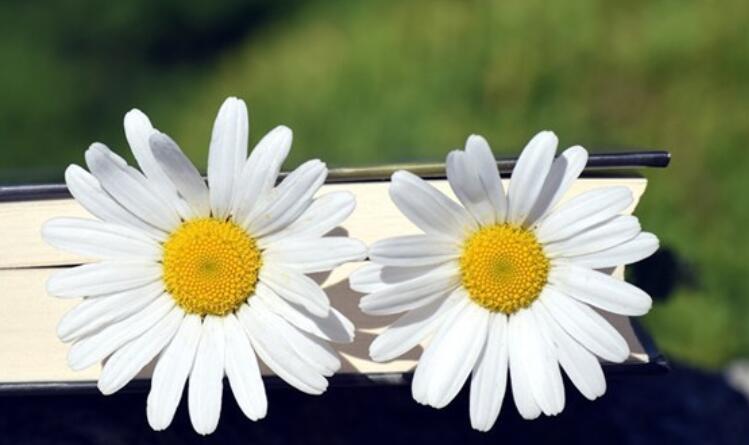 人生旅途感悟的句子文案