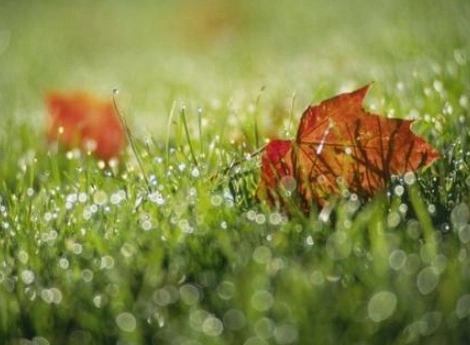 有关九月的优美句子文案