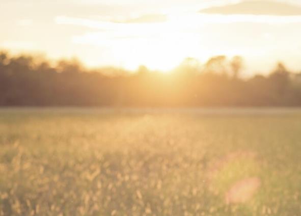 安静文案朋友圈