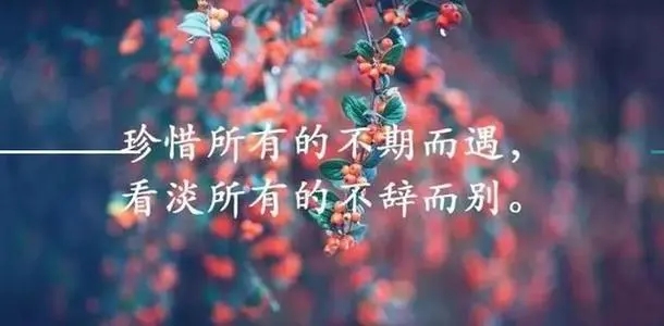 抖音心情语录文案