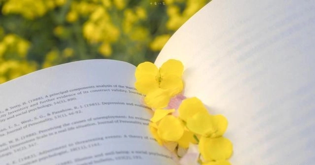 美好的句子文案简短