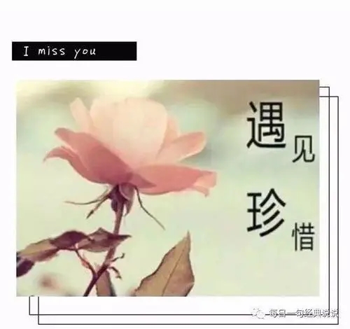 珍惜机会的优美句子文案