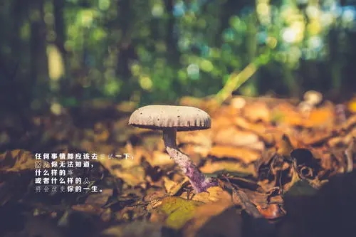 女人心声心情说说文案