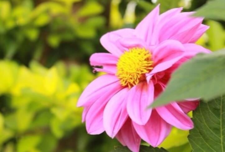 做微商女人努力的句子文案