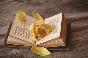 祝自己转运的句子文案诗词