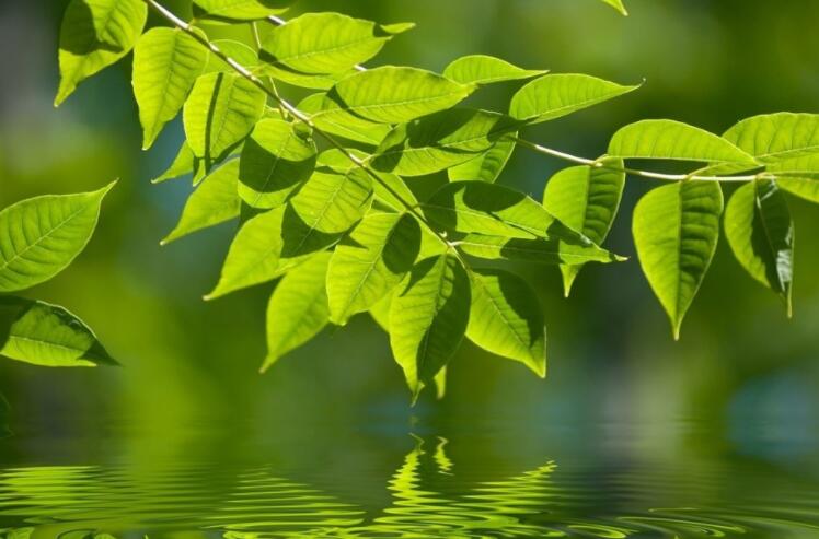 朋友之间健康问候语