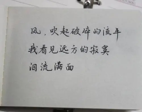 适合发朋友圈思乡的句子文案