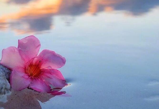 最美好的晨语问候