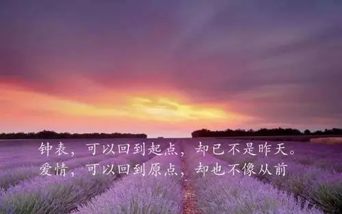 心灵鸡汤情感语录文案