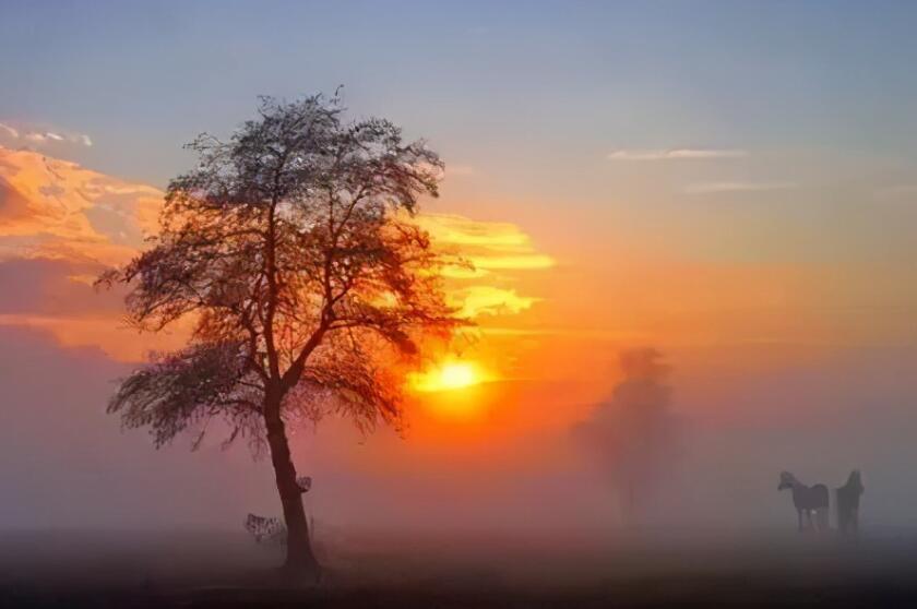 不负等待的句子文案