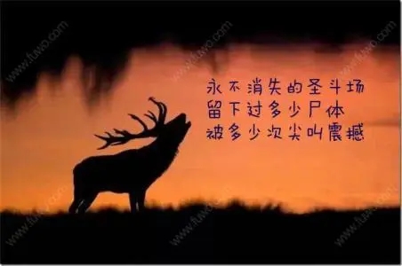 警告别人的狠句子文案