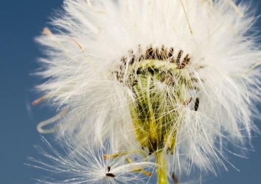 做人讲诚信的句子文案经典语录