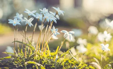 鼓励人成功的句子文案